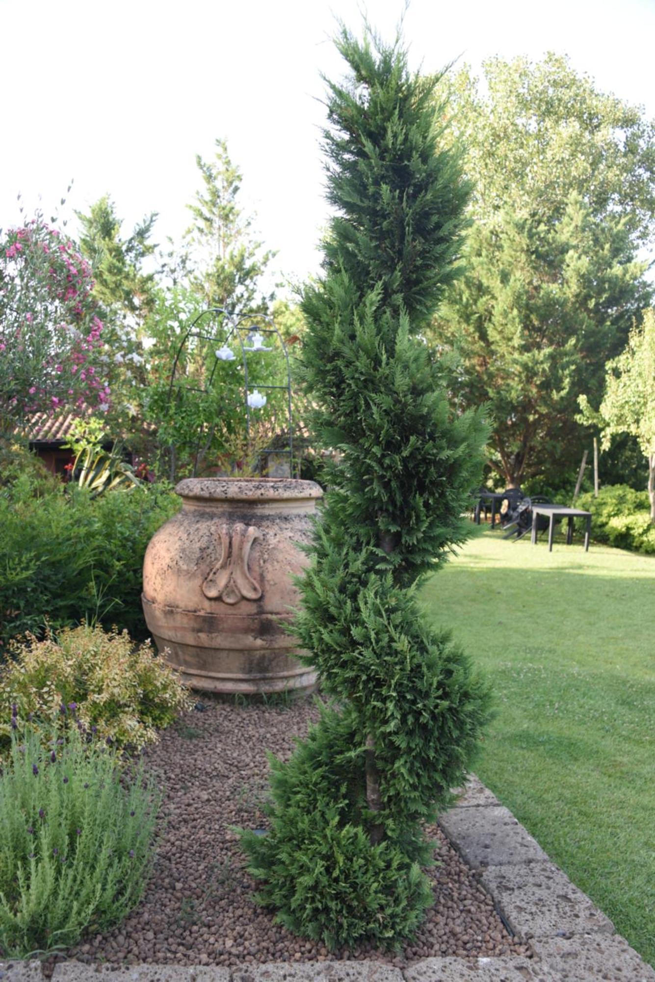 Bosco D'Olmi Country House Sant'Andrea del Garigliano Eksteriør bilde